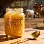 buy pure organic ghee made from indian cow milk, Dehradun
