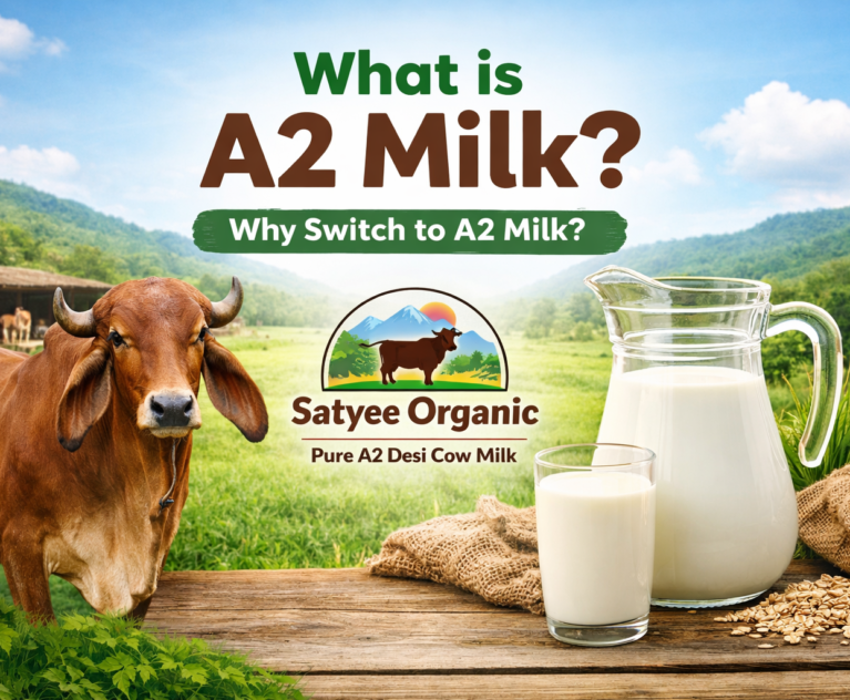 where to buy a2 milk from indian cows in dehradun? satyee organic