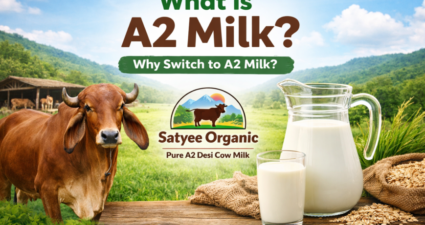 where to buy a2 milk from indian cows in dehradun? satyee organic
